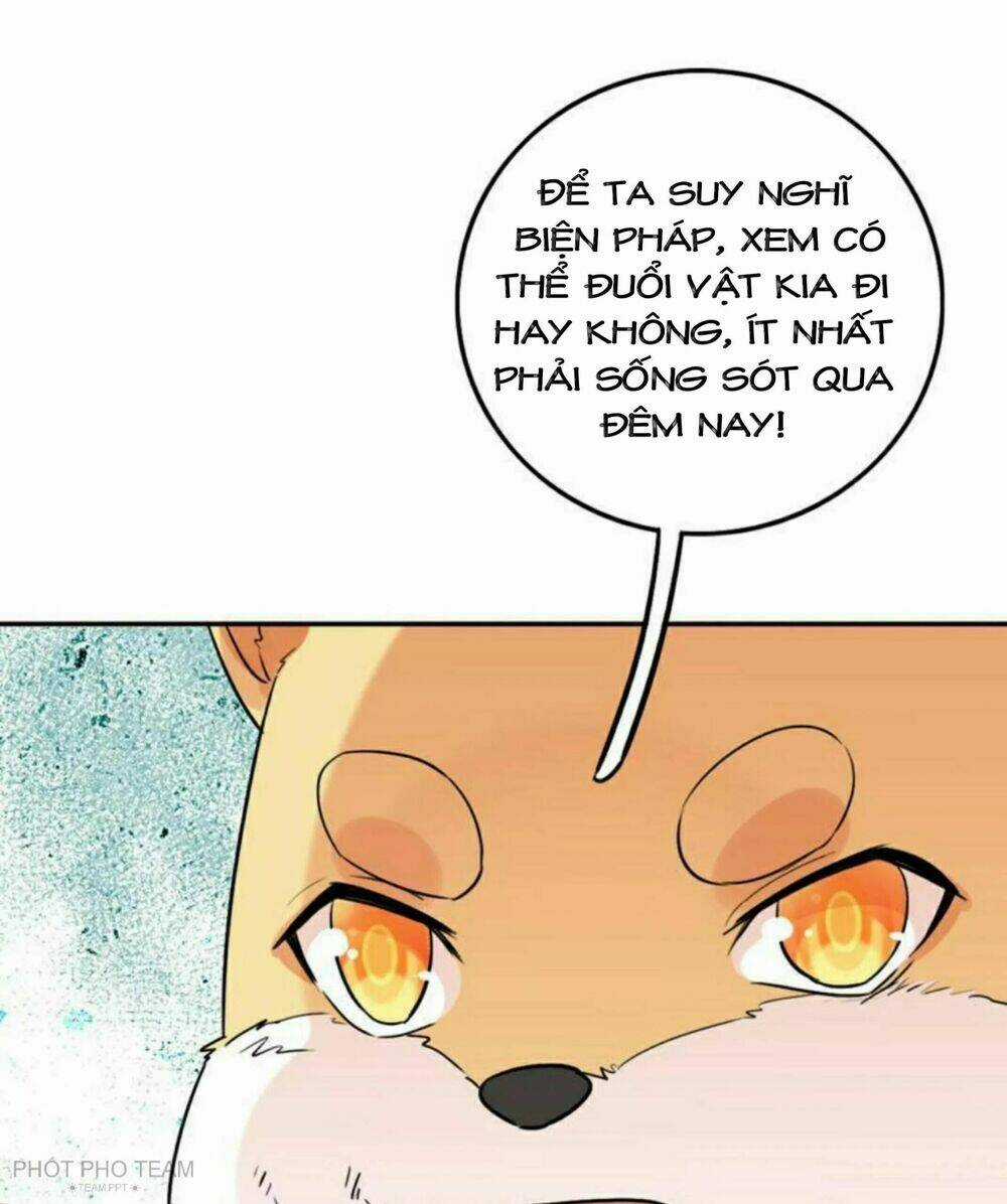 Hôm Nay Lại Cũng Không Thể Biến Thành Người Được Chapter 6 trang 43