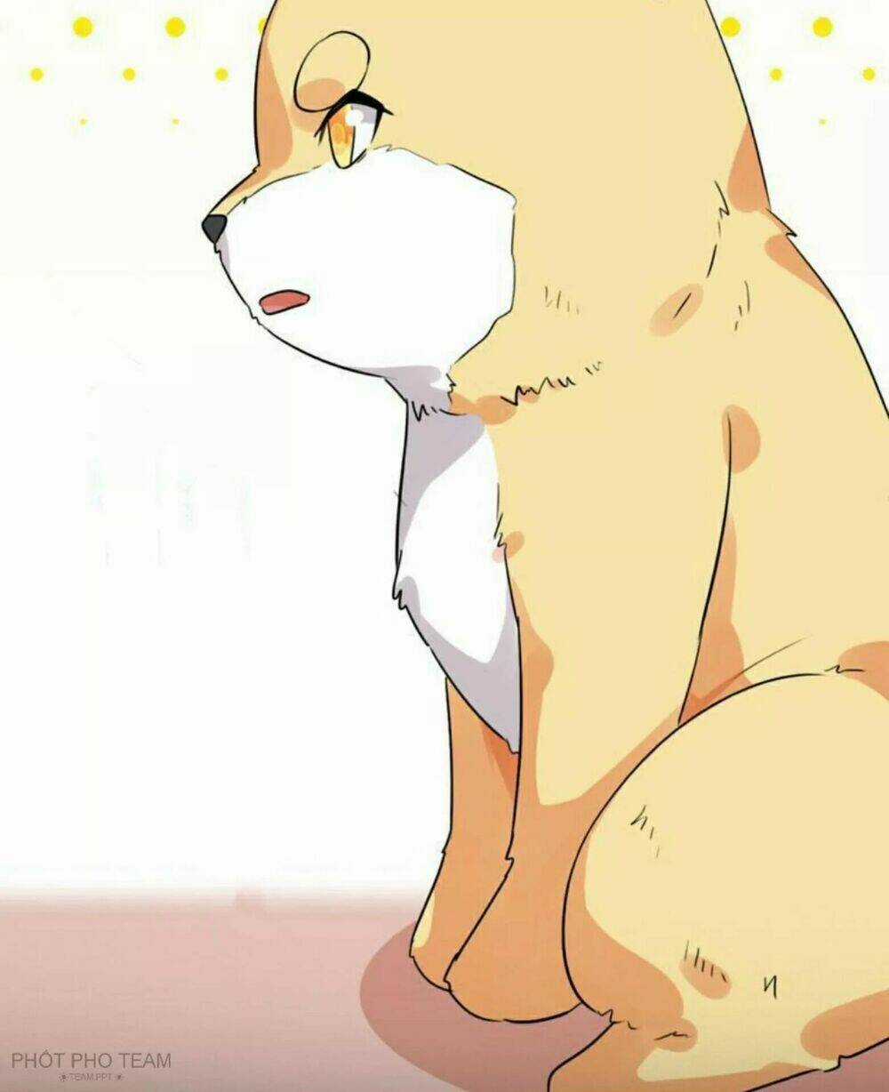 Hôm Nay Lại Cũng Không Thể Biến Thành Người Được Chapter 6 trang 46