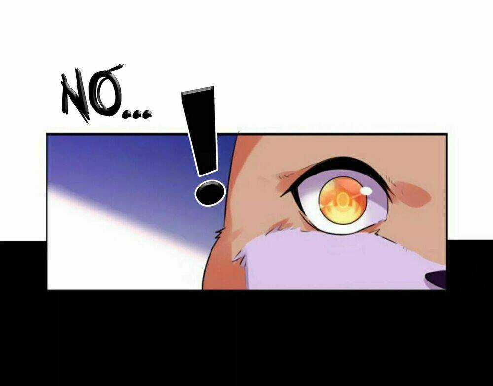 Hôm Nay Lại Cũng Không Thể Biến Thành Người Được Chapter 6 trang 49