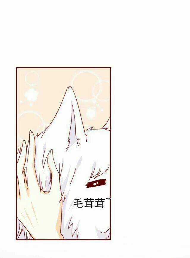 Hôm Nay Tôi Sẽ Yêu Ai Đây ? Chapter 41 trang 4