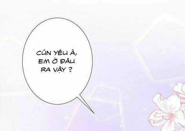 Hôm Nay Tôi Sẽ Yêu Ai Đây ? Chapter 41 trang 5