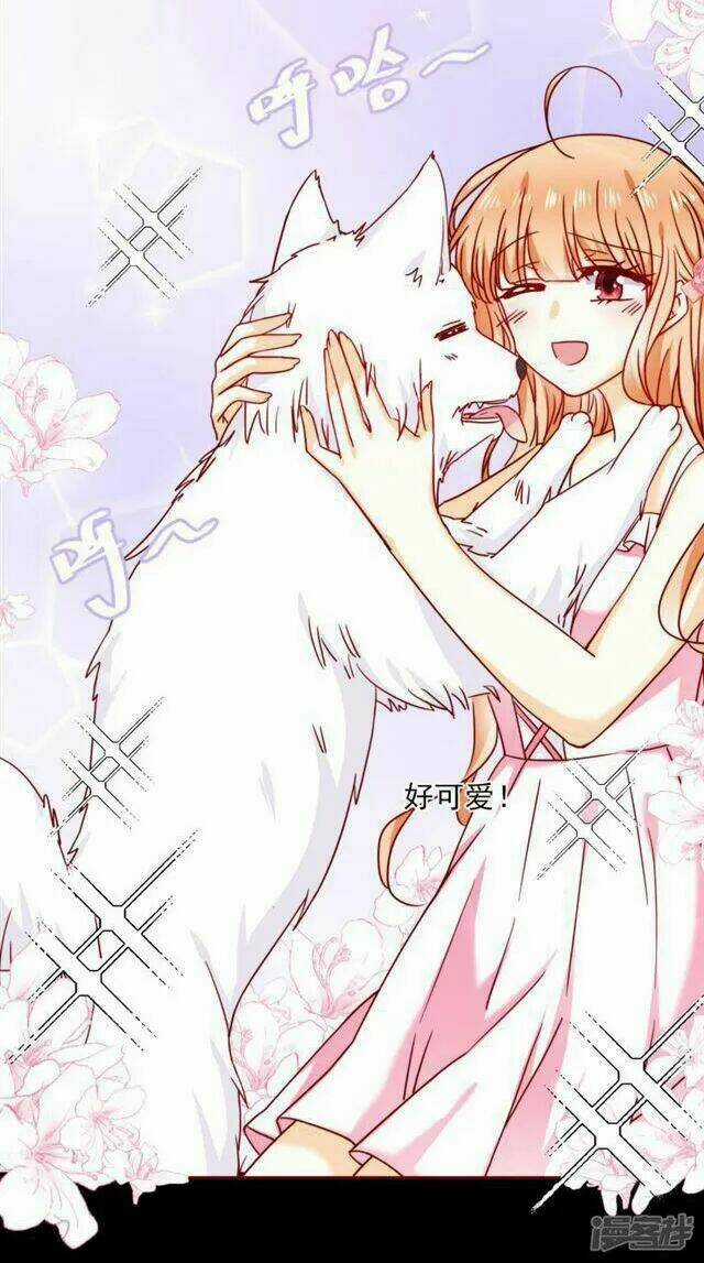 Hôm Nay Tôi Sẽ Yêu Ai Đây ? Chapter 41 trang 6