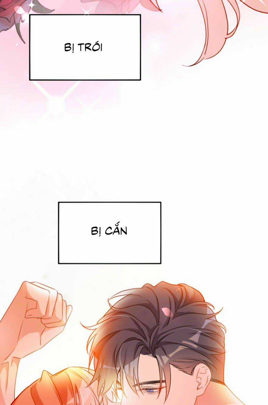 Hôm Nay Từ Chối Lục Tiên Sinh Chưa? Chapter 1 trang 11