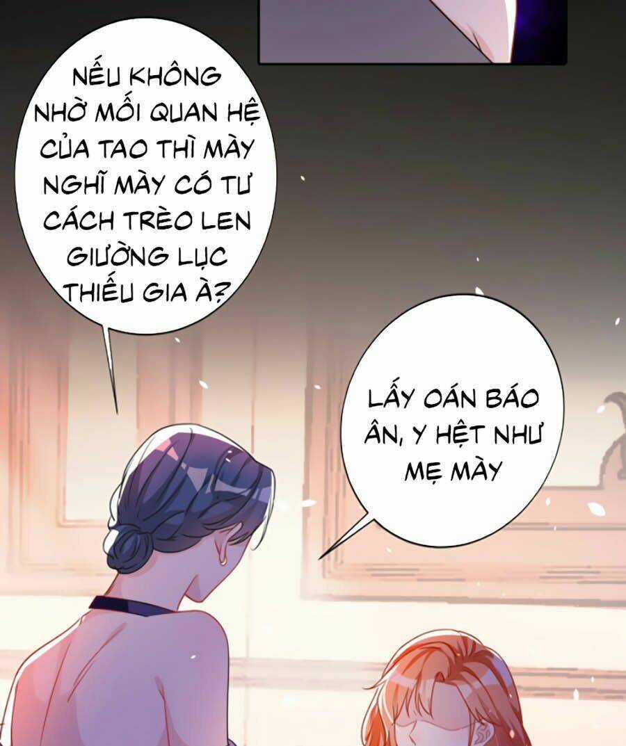 Hôm Nay Từ Chối Lục Tiên Sinh Chưa? Chapter 1 trang 22