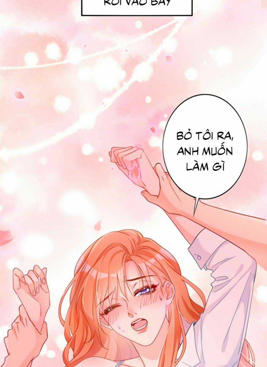 Hôm Nay Từ Chối Lục Tiên Sinh Chưa? Chapter 1 trang 6