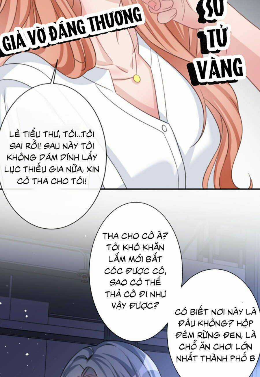 Hôm Nay Từ Chối Lục Tiên Sinh Chưa? Chapter 11 trang 28