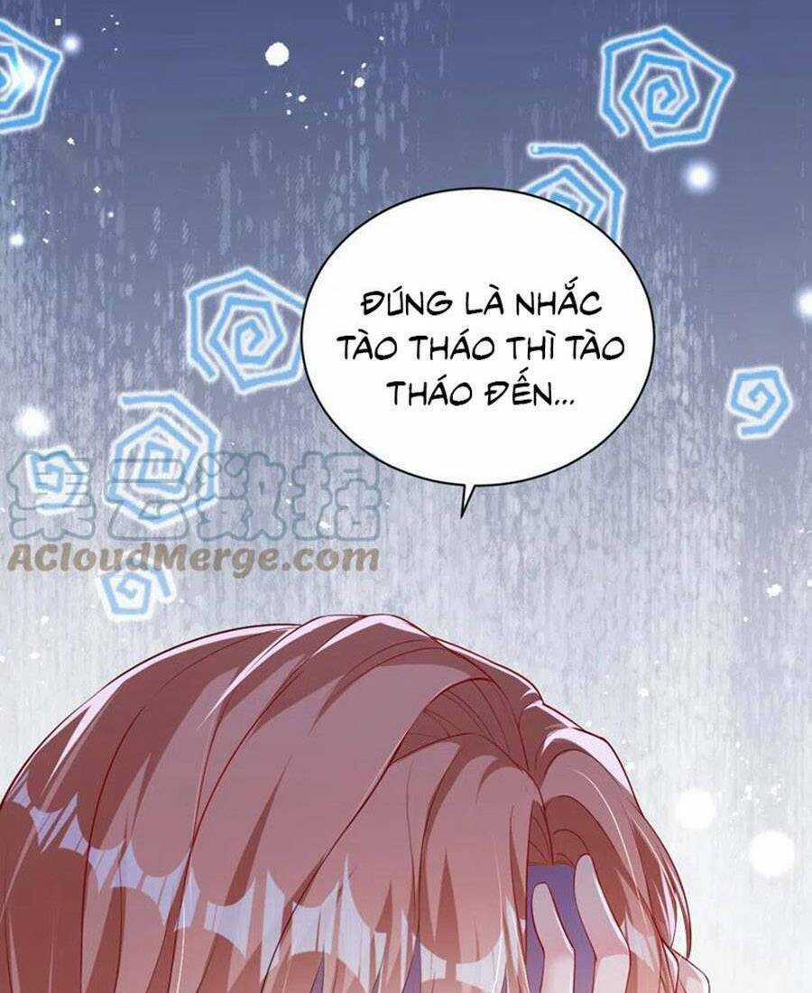 Hôm Nay Từ Chối Lục Tiên Sinh Chưa? Chapter 118 trang 40