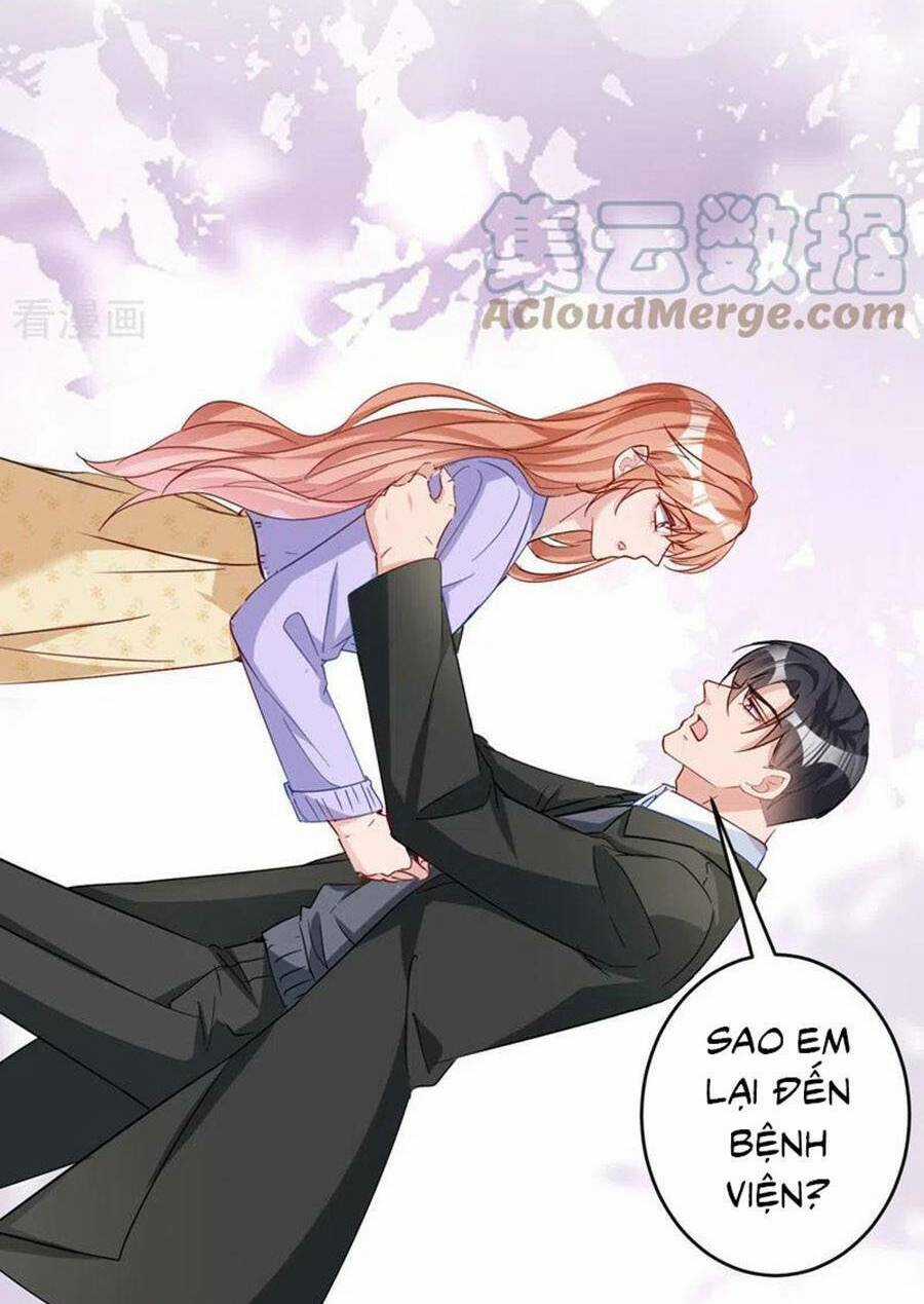 Hôm Nay Từ Chối Lục Tiên Sinh Chưa? Chapter 118 trang 43