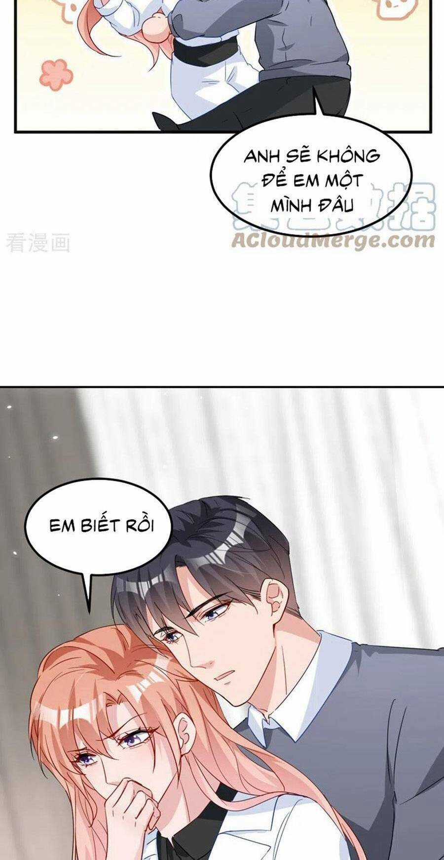 Hôm Nay Từ Chối Lục Tiên Sinh Chưa? Chapter 119 trang 22