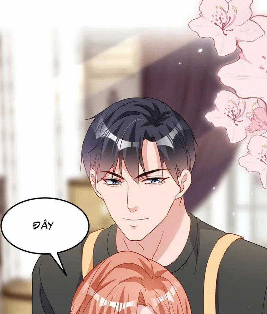 Hôm Nay Từ Chối Lục Tiên Sinh Chưa? Chapter 120 trang 42