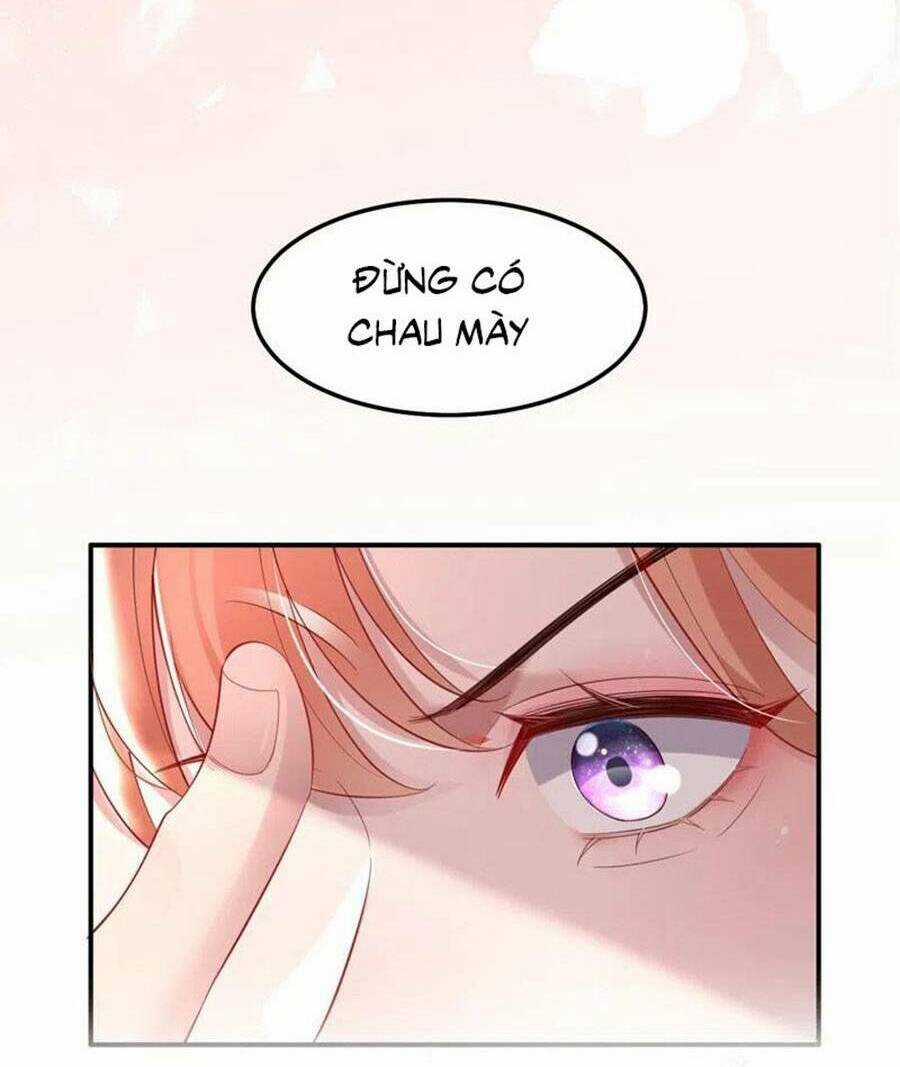 Hôm Nay Từ Chối Lục Tiên Sinh Chưa? Chapter 121 trang 25