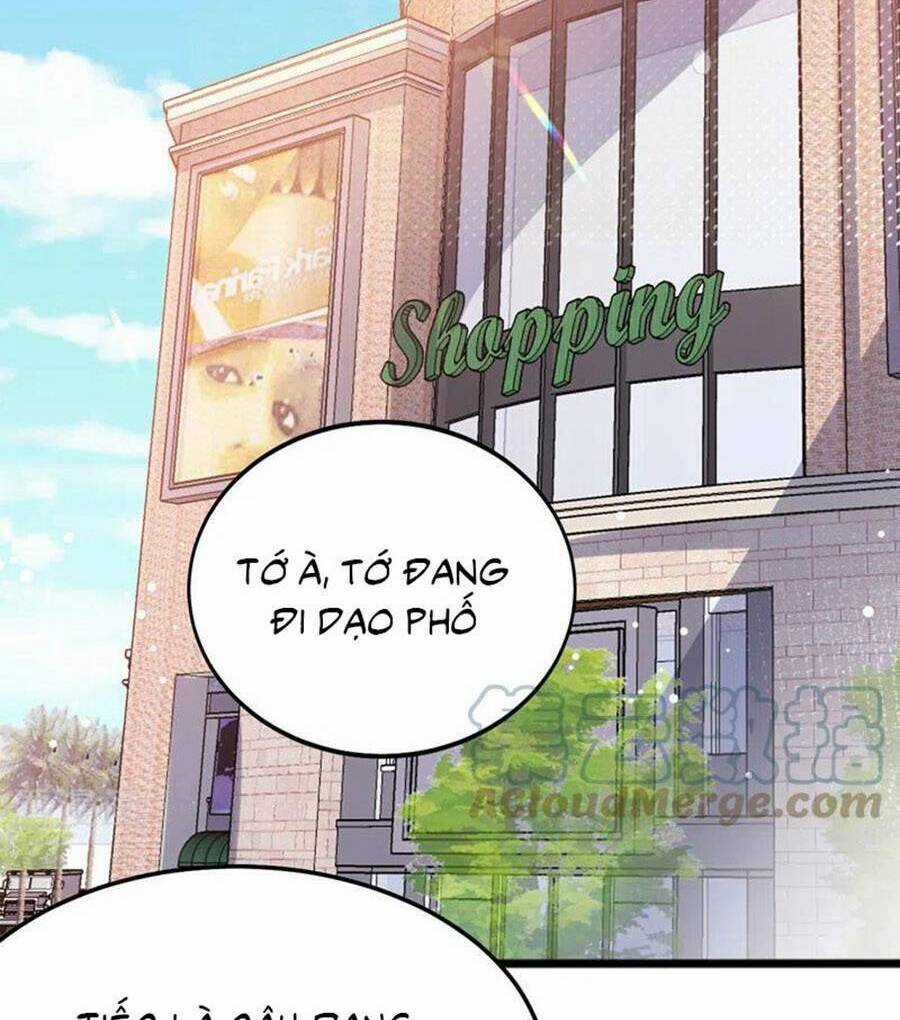 Hôm Nay Từ Chối Lục Tiên Sinh Chưa? Chapter 124 trang 12