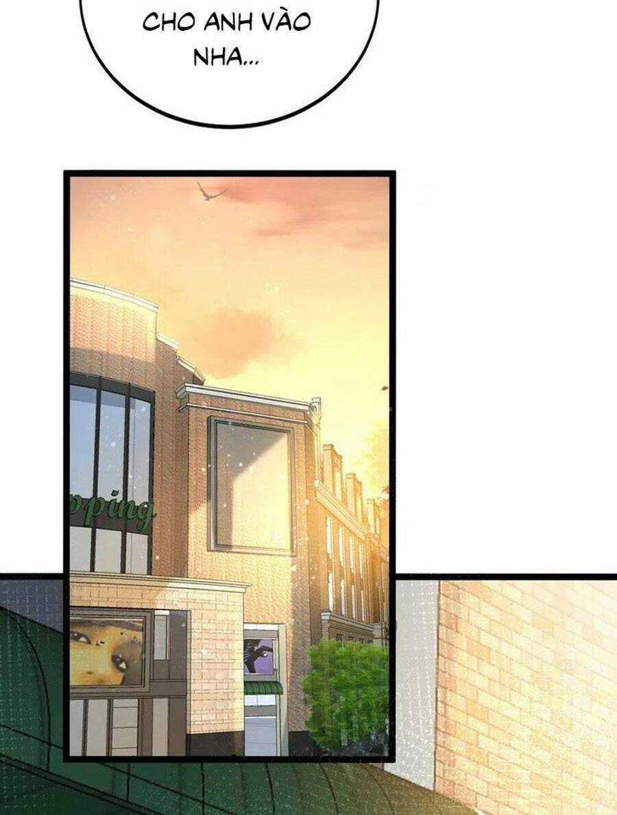 Hôm Nay Từ Chối Lục Tiên Sinh Chưa? Chapter 125 trang 11