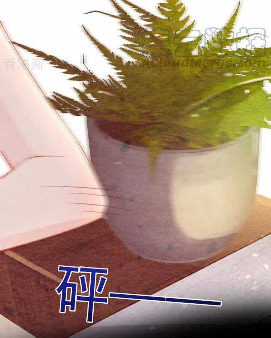 Hôm Nay Từ Chối Lục Tiên Sinh Chưa? Chapter 129 trang 35