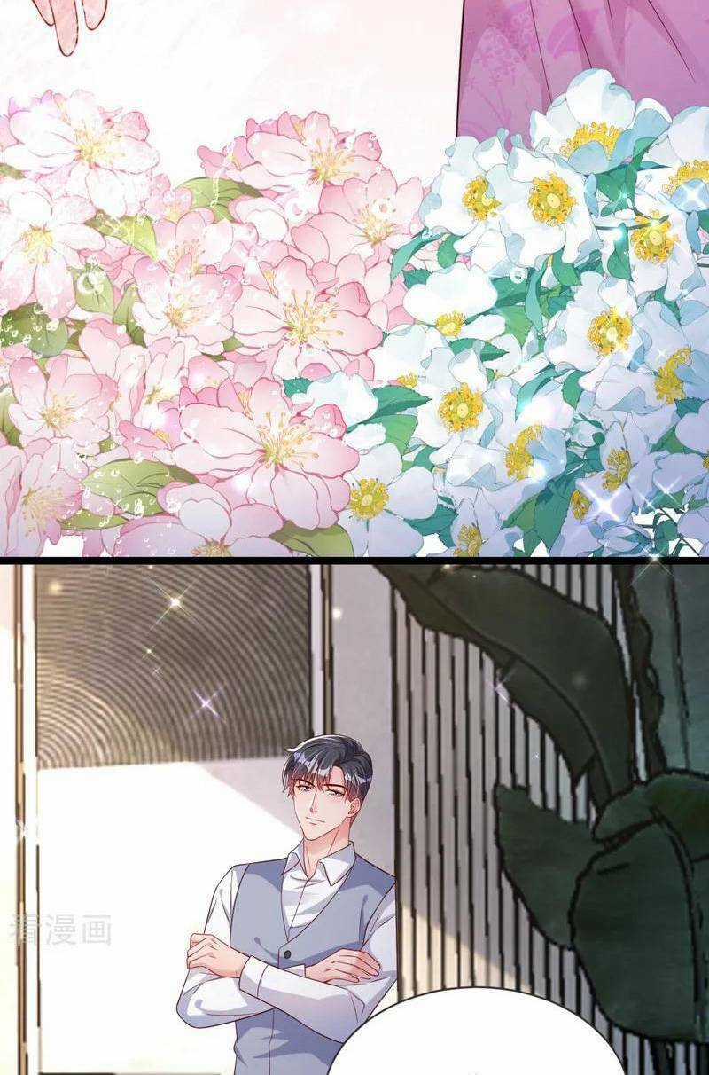 Hôm Nay Từ Chối Lục Tiên Sinh Chưa? Chapter 130 trang 23