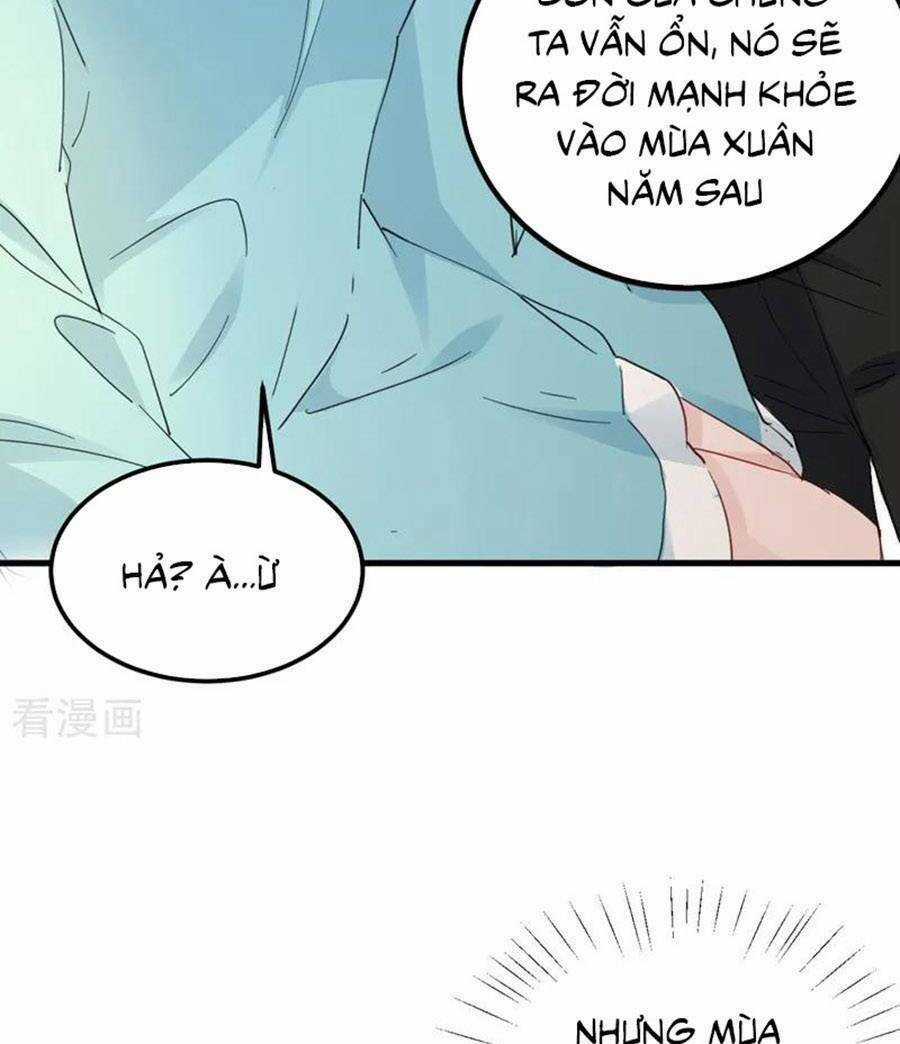 Hôm Nay Từ Chối Lục Tiên Sinh Chưa? Chapter 134 trang 41