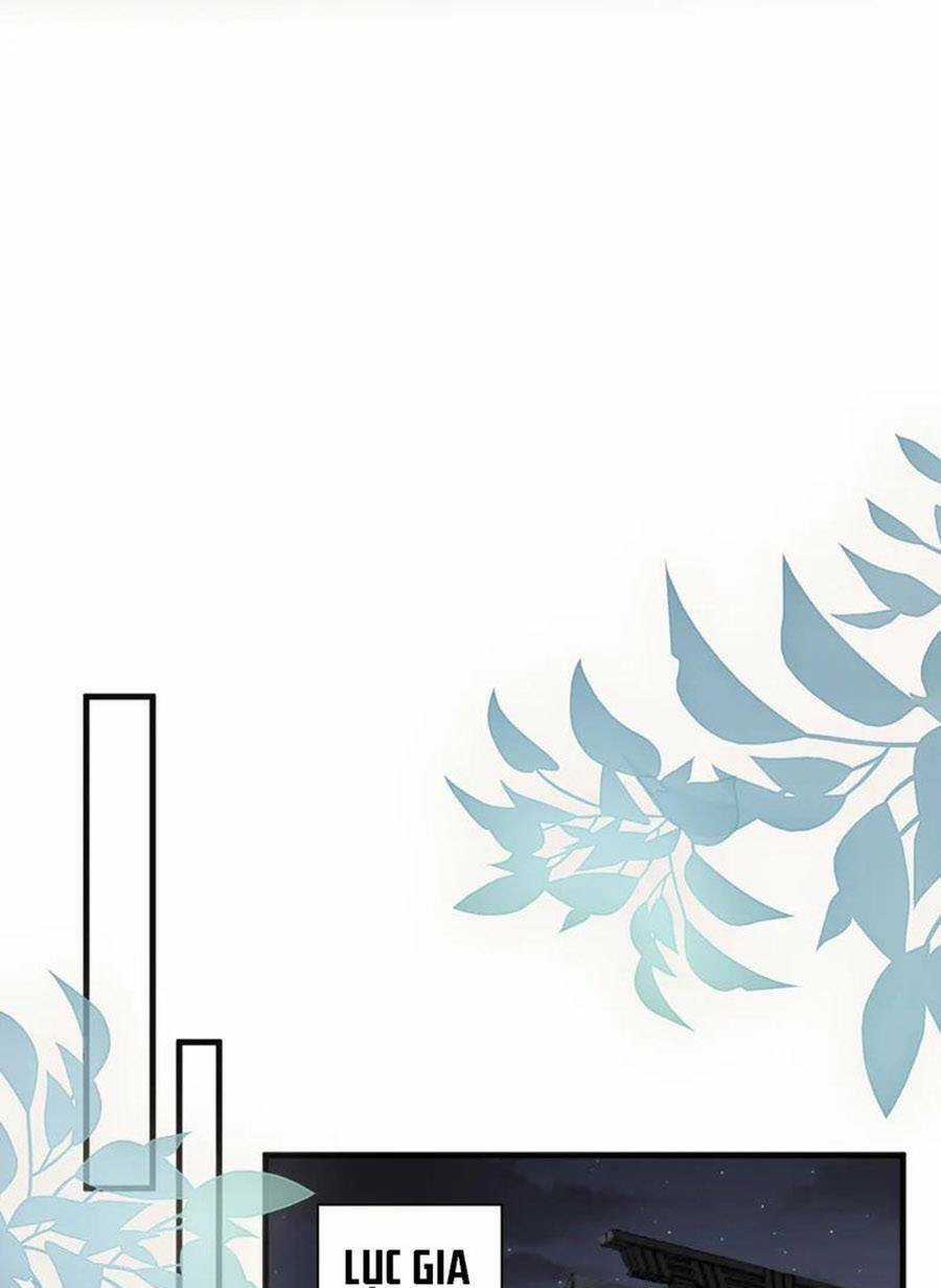 Hôm Nay Từ Chối Lục Tiên Sinh Chưa? Chapter 135 trang 32