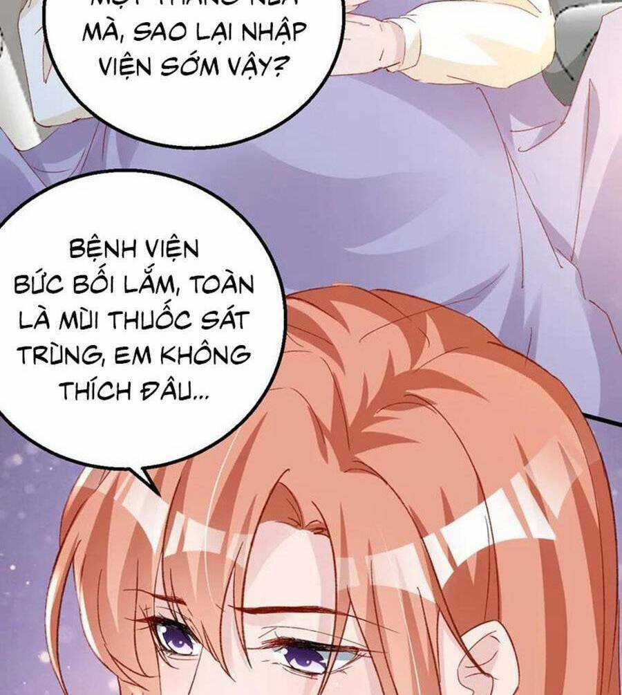 Hôm Nay Từ Chối Lục Tiên Sinh Chưa? Chapter 141 trang 44