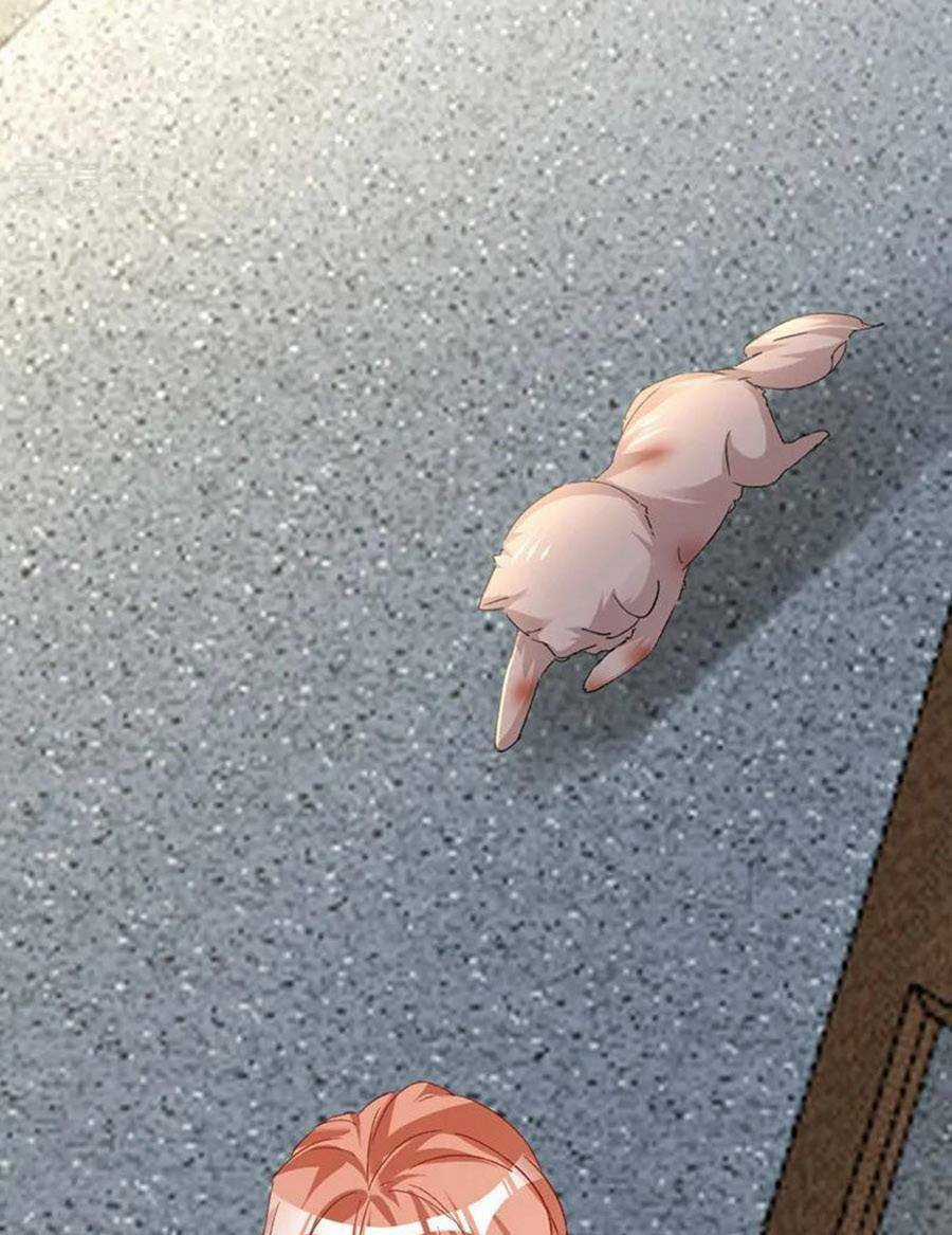 Hôm Nay Từ Chối Lục Tiên Sinh Chưa? Chapter 142 trang 34