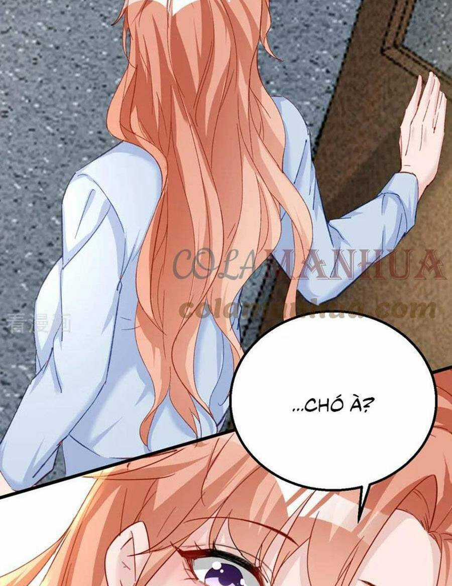 Hôm Nay Từ Chối Lục Tiên Sinh Chưa? Chapter 142 trang 35