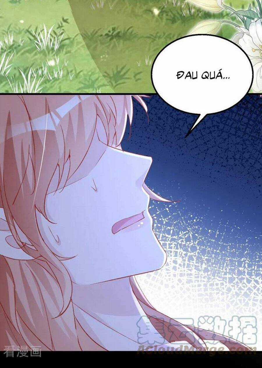 Hôm Nay Từ Chối Lục Tiên Sinh Chưa? Chapter 147 trang 30