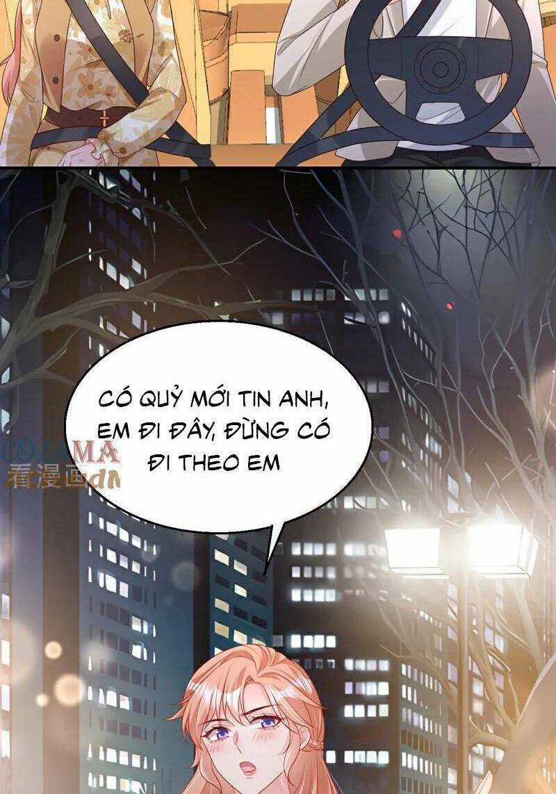 Hôm Nay Từ Chối Lục Tiên Sinh Chưa? Chapter 161 trang 12