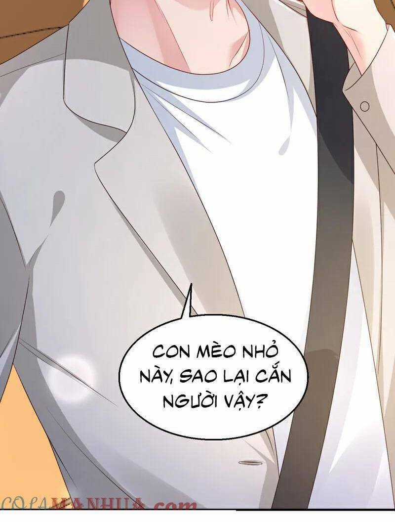 Hôm Nay Từ Chối Lục Tiên Sinh Chưa? Chapter 161 trang 9