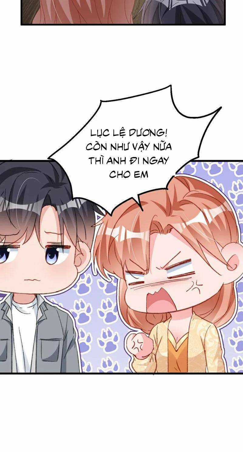 Hôm Nay Từ Chối Lục Tiên Sinh Chưa? Chapter 162 trang 24