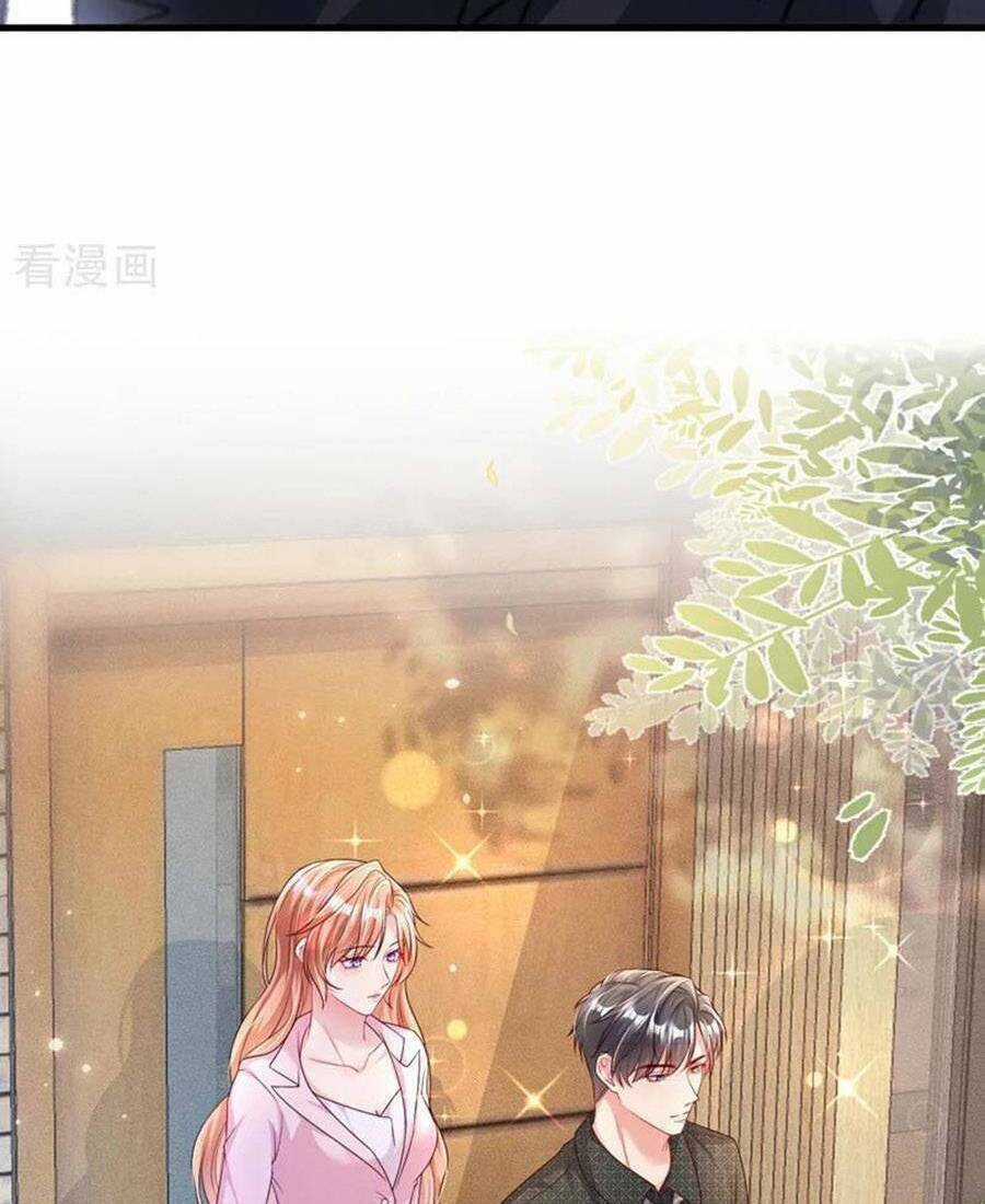 Hôm Nay Từ Chối Lục Tiên Sinh Chưa? Chapter 165 trang 12