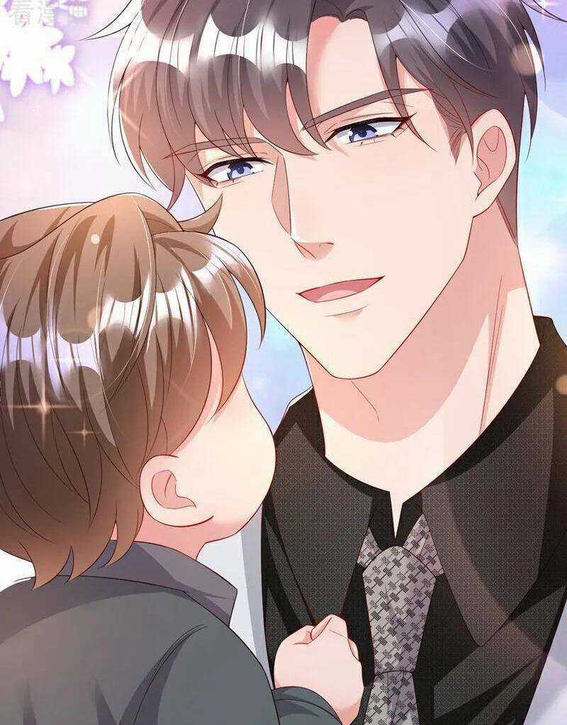 Hôm Nay Từ Chối Lục Tiên Sinh Chưa? Chapter 166 trang 14