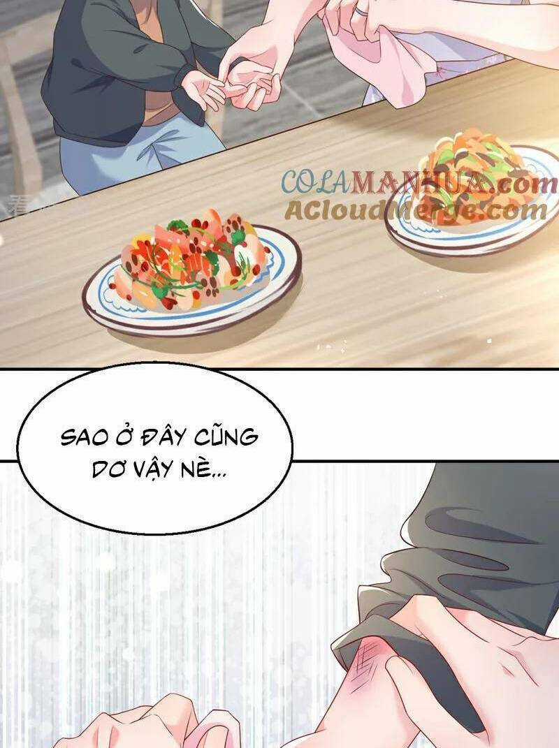 Hôm Nay Từ Chối Lục Tiên Sinh Chưa? Chapter 167 trang 33