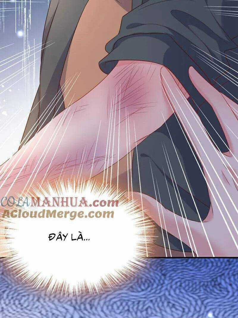 Hôm Nay Từ Chối Lục Tiên Sinh Chưa? Chapter 167 trang 35