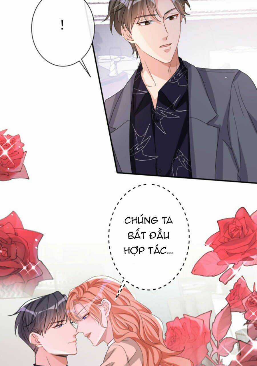 Hôm Nay Từ Chối Lục Tiên Sinh Chưa? Chapter 17 trang 28