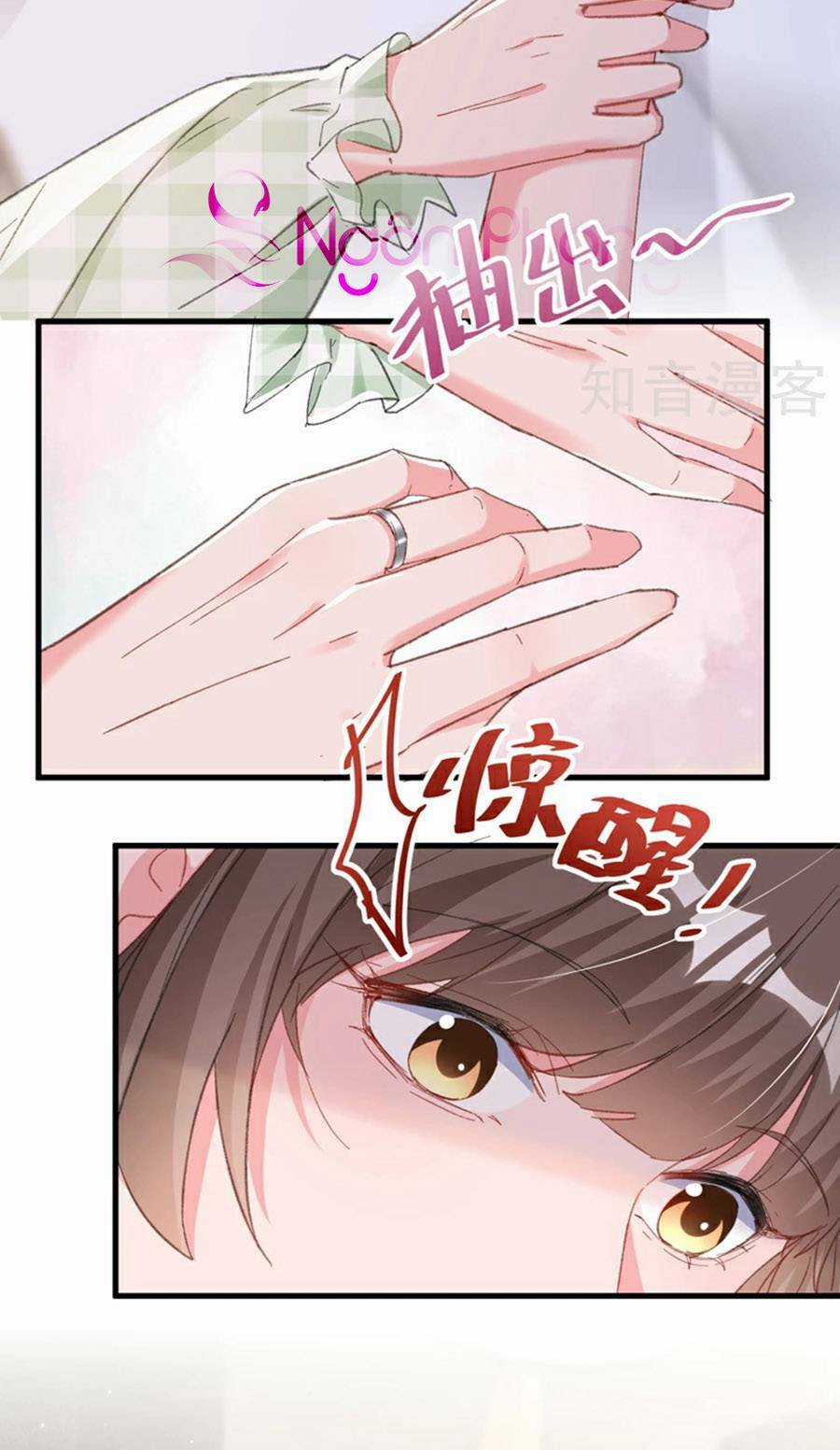 Hôm Nay Từ Chối Lục Tiên Sinh Chưa? Chapter 173 trang 2