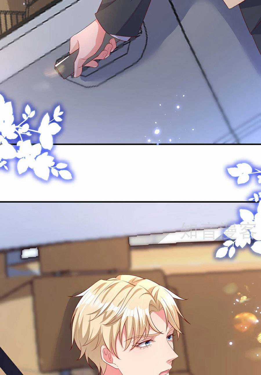 Hôm Nay Từ Chối Lục Tiên Sinh Chưa? Chapter 173 trang 25