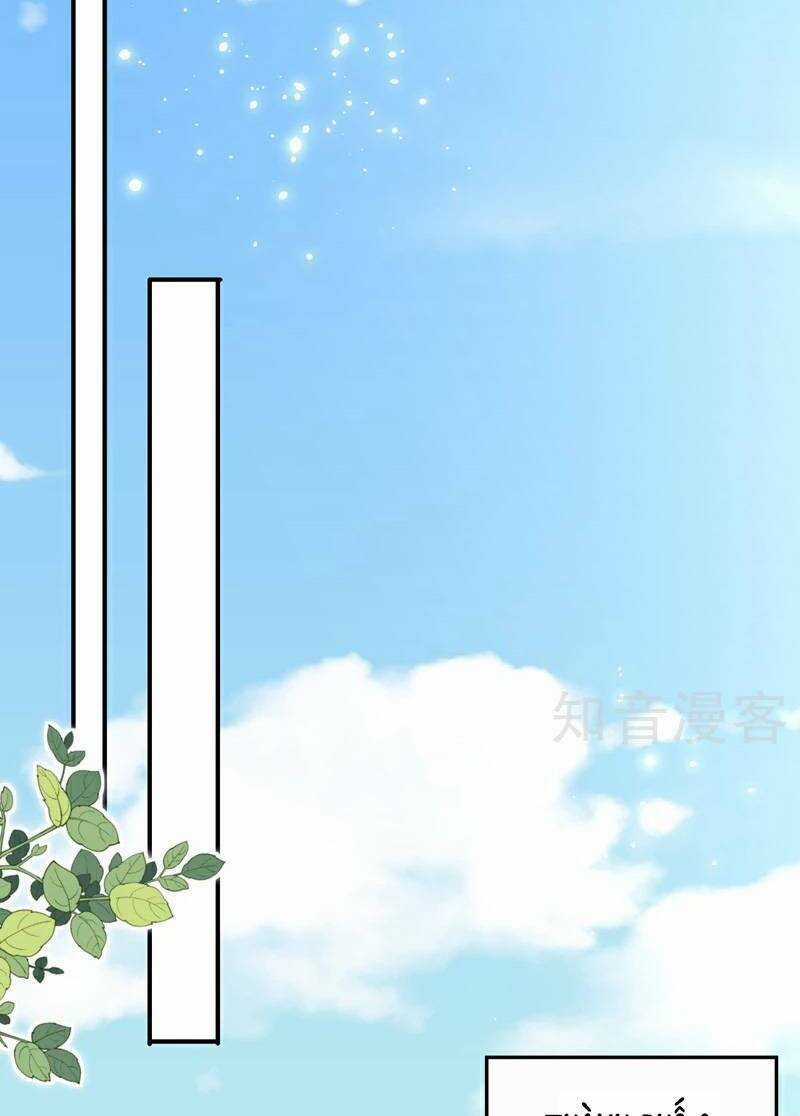 Hôm Nay Từ Chối Lục Tiên Sinh Chưa? Chapter 174 trang 26