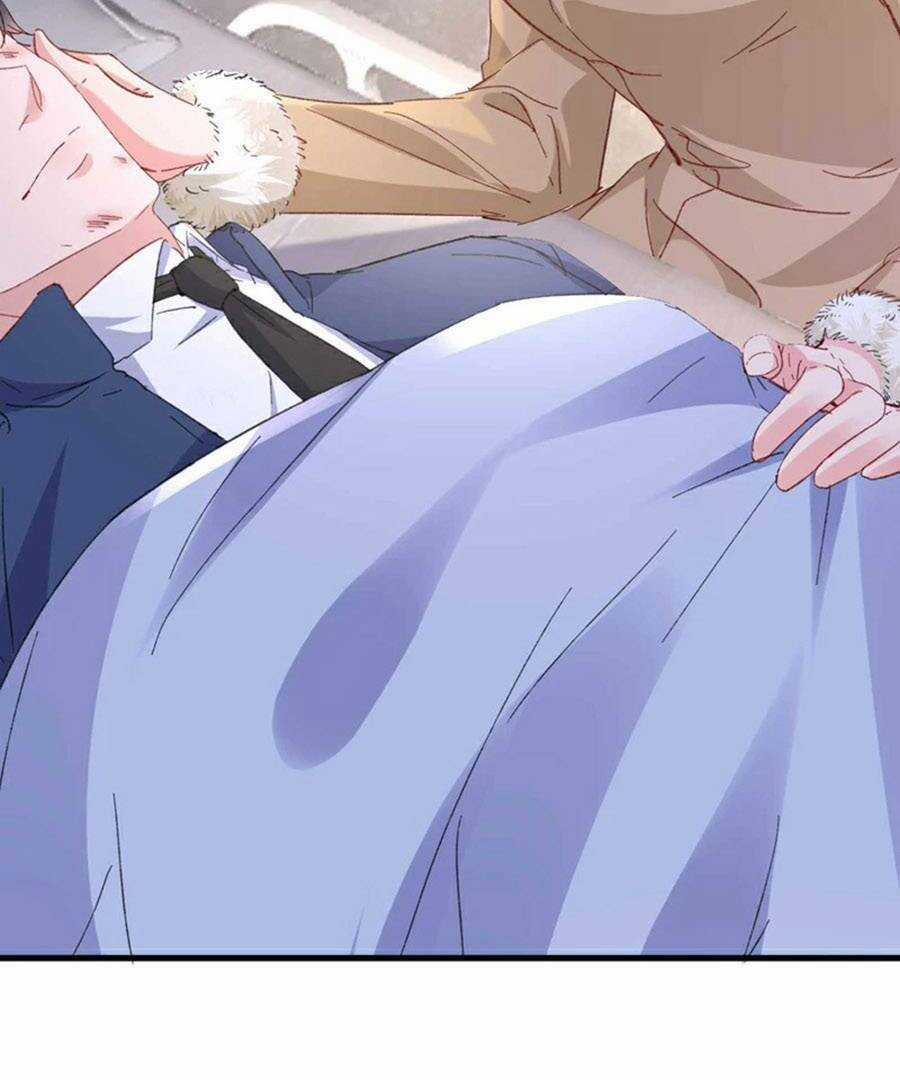 Hôm Nay Từ Chối Lục Tiên Sinh Chưa? Chapter 177 trang 11