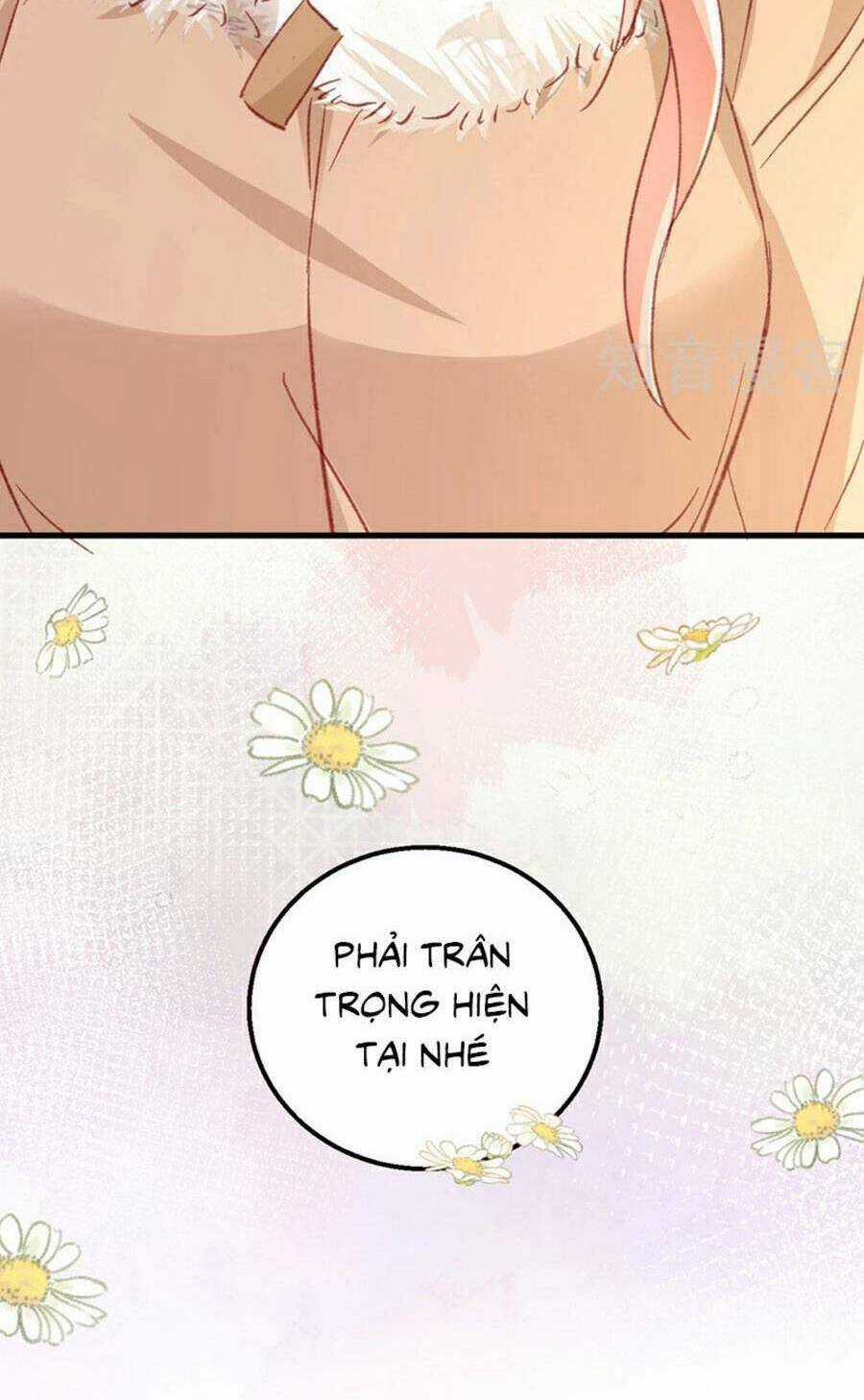 Hôm Nay Từ Chối Lục Tiên Sinh Chưa? Chapter 177 trang 43