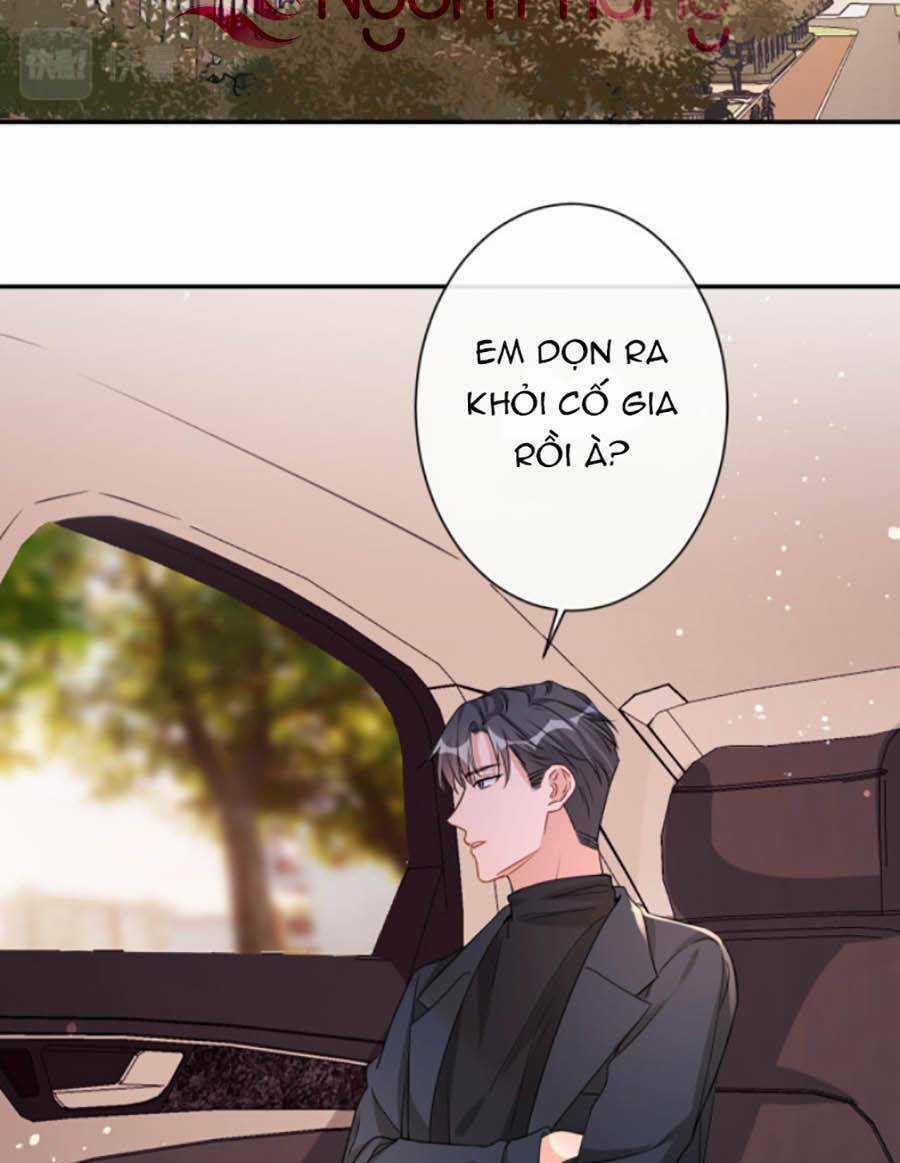 Hôm Nay Từ Chối Lục Tiên Sinh Chưa? Chapter 18 trang 17