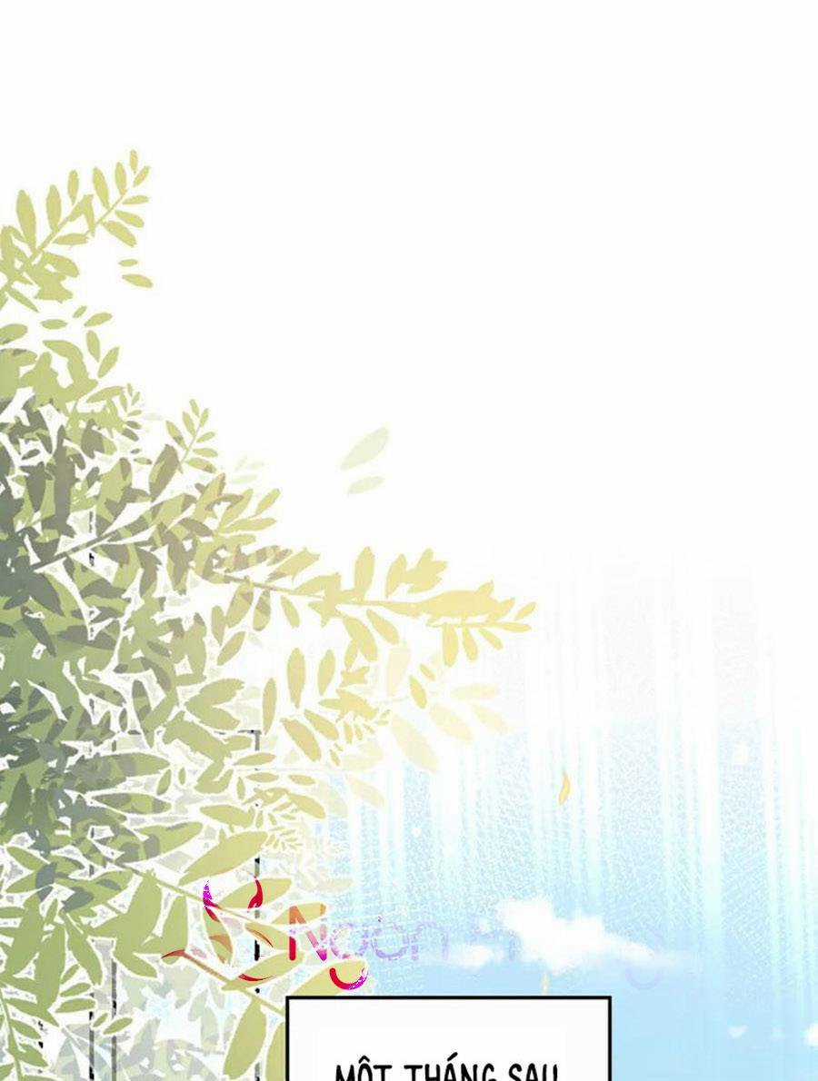 Hôm Nay Từ Chối Lục Tiên Sinh Chưa? Chapter 181 trang 0