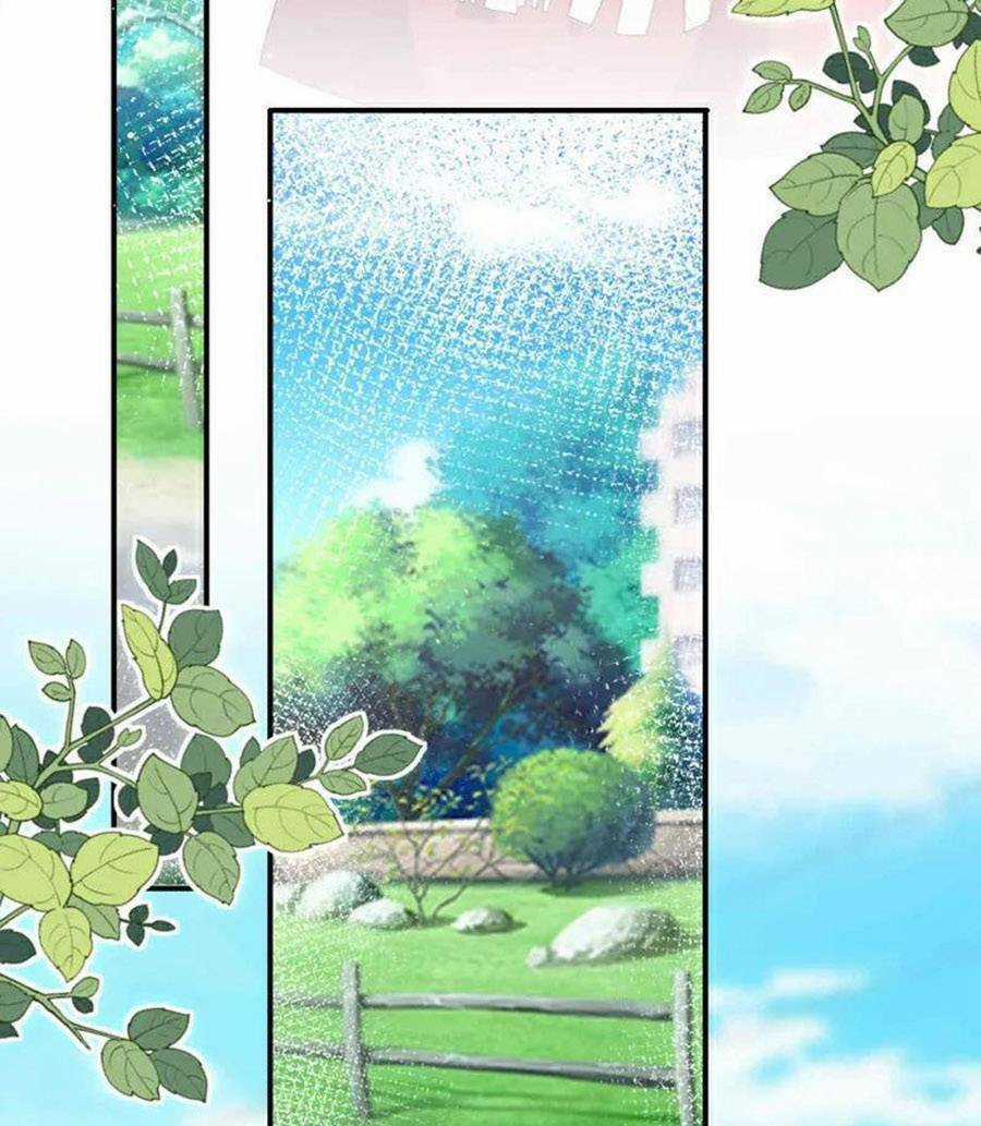 Hôm Nay Từ Chối Lục Tiên Sinh Chưa? Chapter 183 trang 11