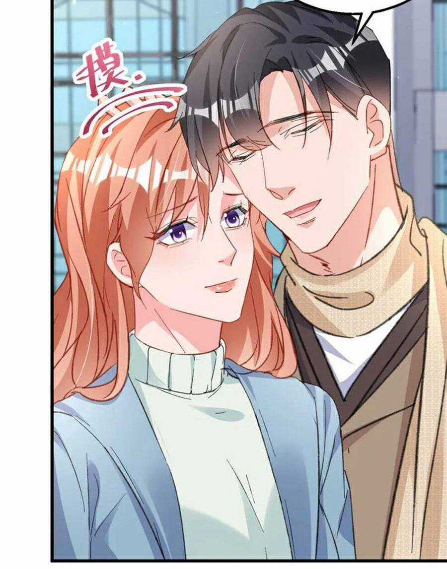 Hôm Nay Từ Chối Lục Tiên Sinh Chưa? Chapter 184 trang 6