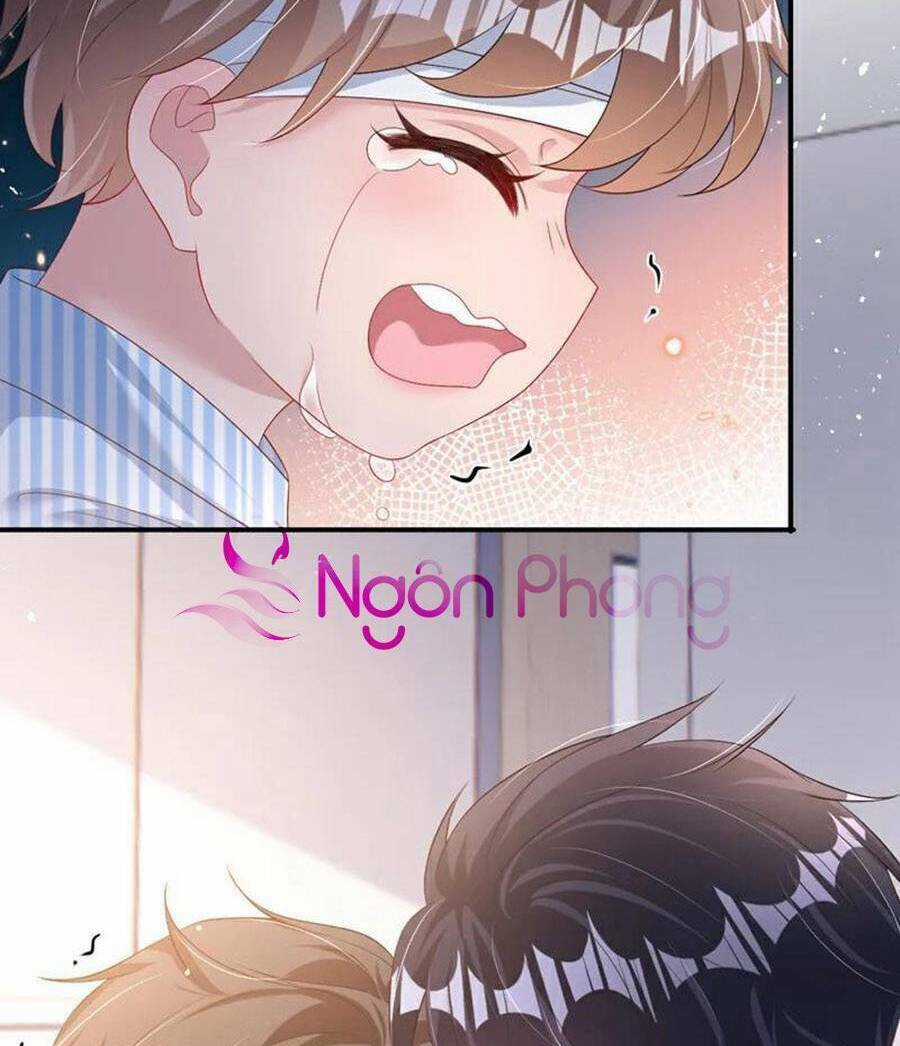 Hôm Nay Từ Chối Lục Tiên Sinh Chưa? Chapter 185 trang 42