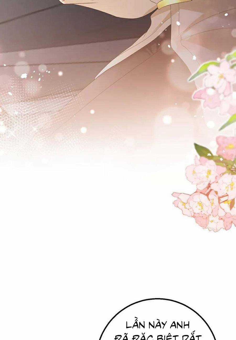 Hôm Nay Từ Chối Lục Tiên Sinh Chưa? Chapter 186 trang 12