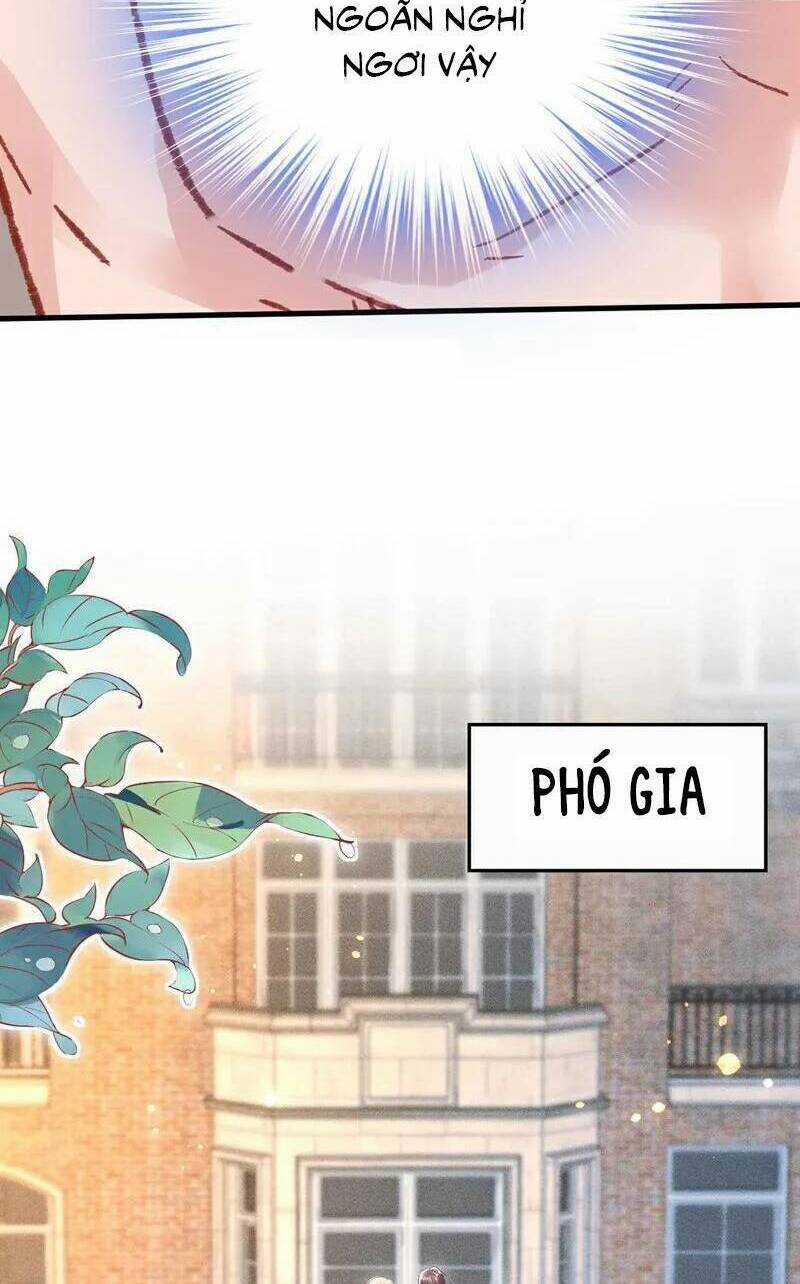 Hôm Nay Từ Chối Lục Tiên Sinh Chưa? Chapter 187 trang 19