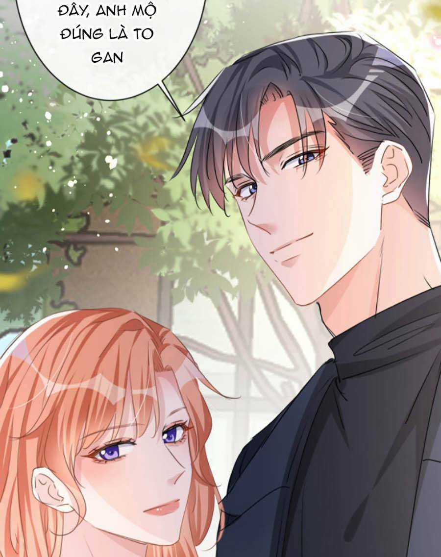 Hôm Nay Từ Chối Lục Tiên Sinh Chưa? Chapter 19 trang 25