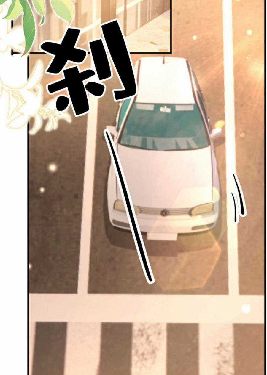 Hôm Nay Từ Chối Lục Tiên Sinh Chưa? Chapter 190 trang 12