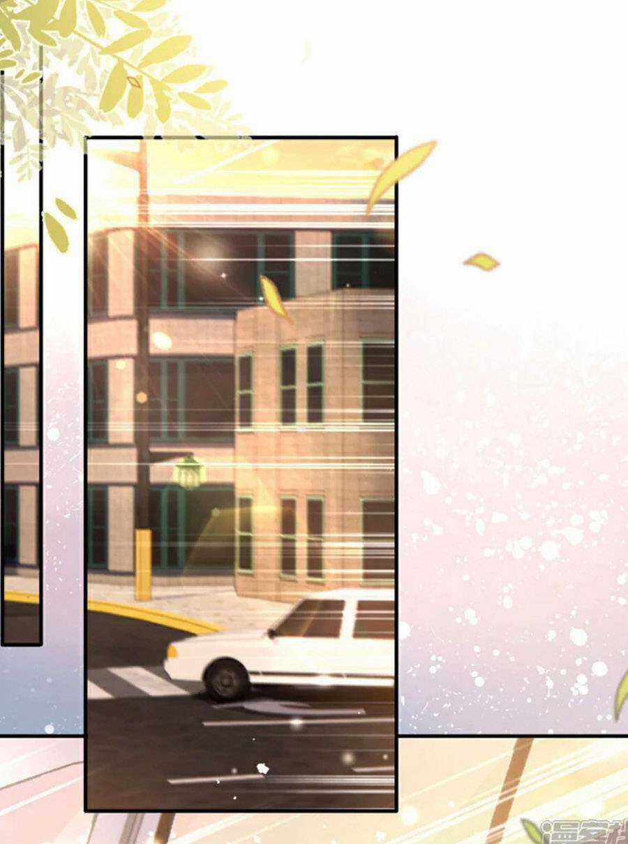 Hôm Nay Từ Chối Lục Tiên Sinh Chưa? Chapter 190 trang 2