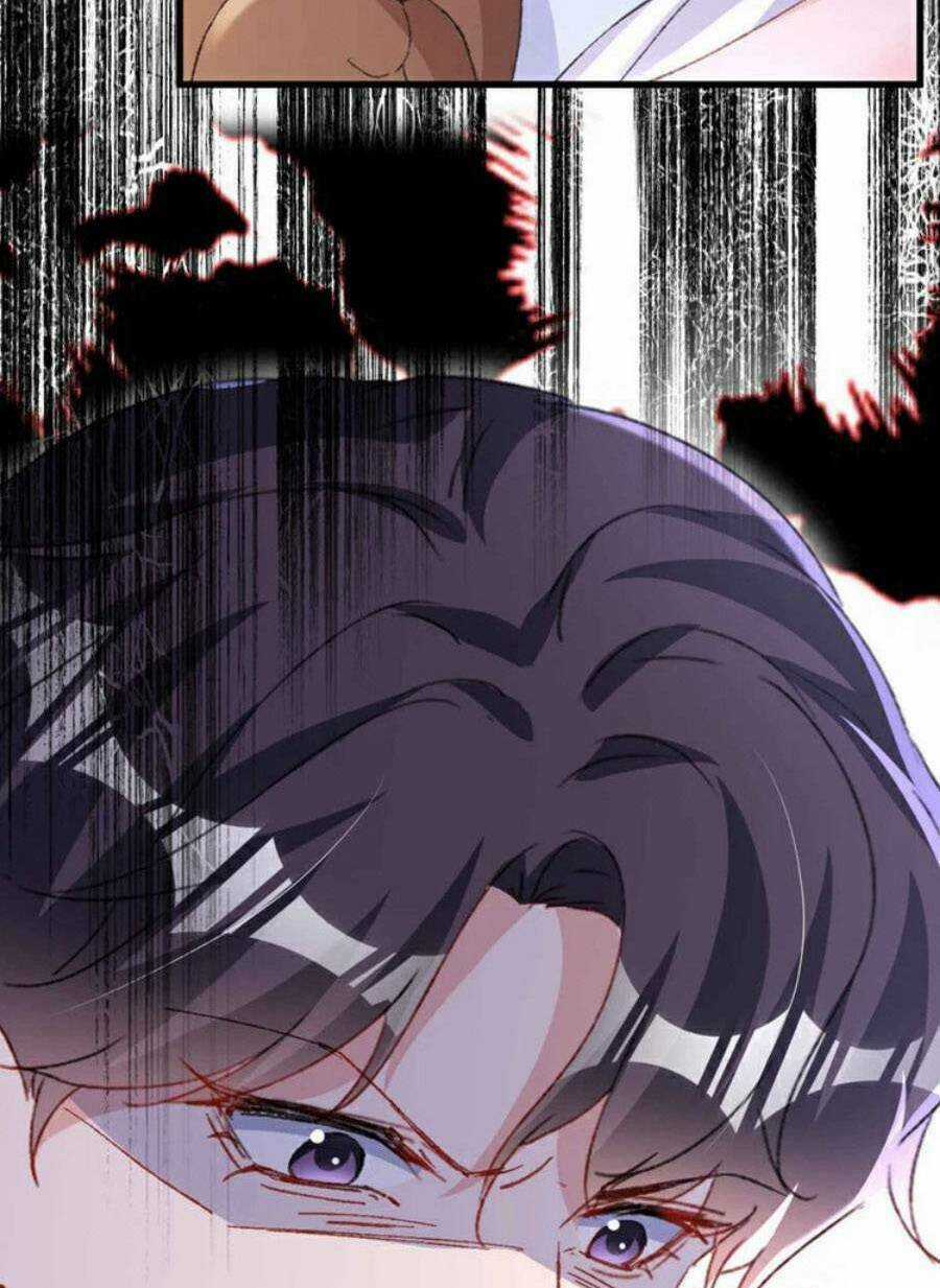 Hôm Nay Từ Chối Lục Tiên Sinh Chưa? Chapter 191 trang 25