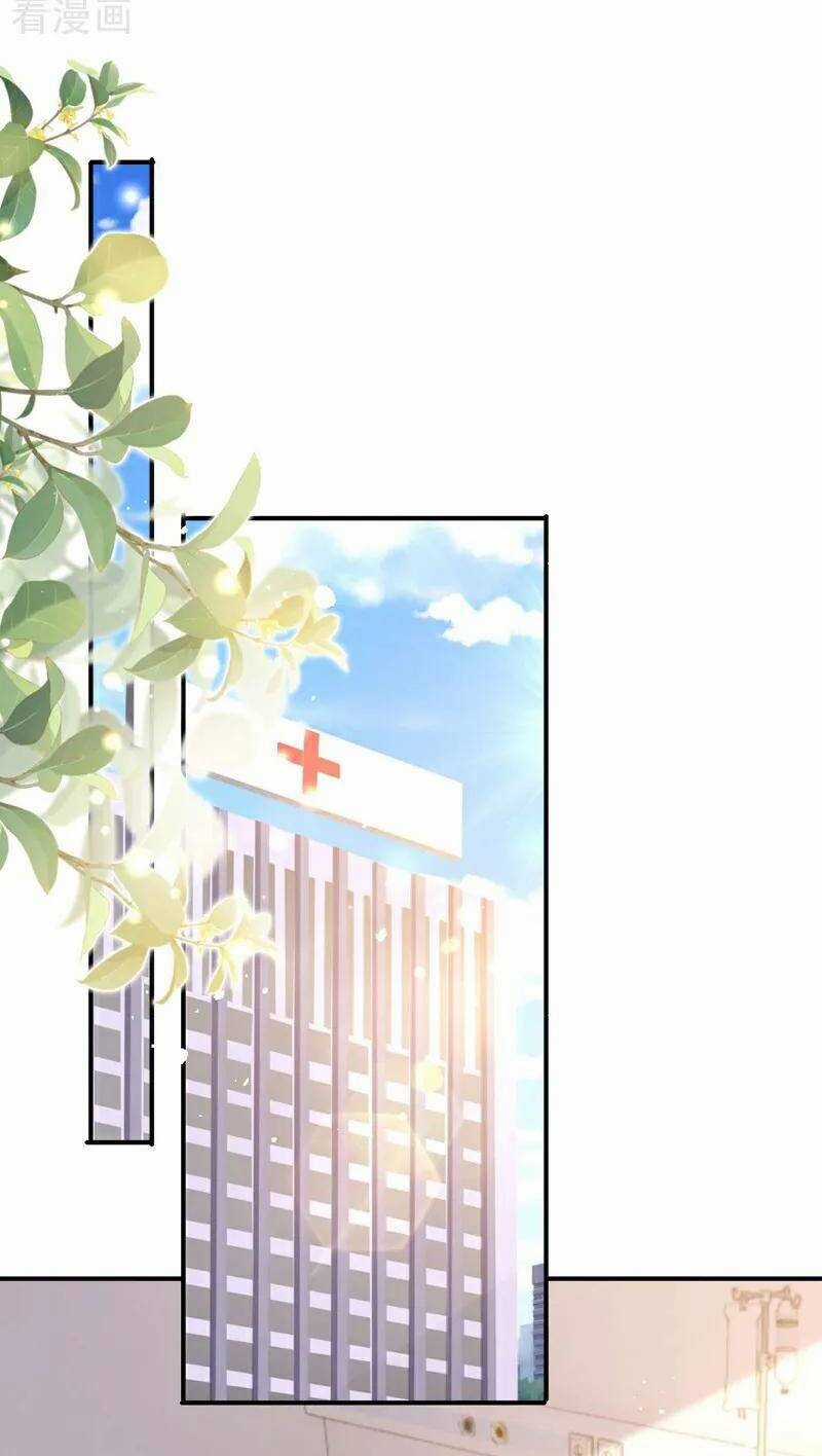 Hôm Nay Từ Chối Lục Tiên Sinh Chưa? Chapter 194 trang 14